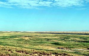 KUNMING- DUNHUANG VOYAGE D ETUDES ORGANISE (28)